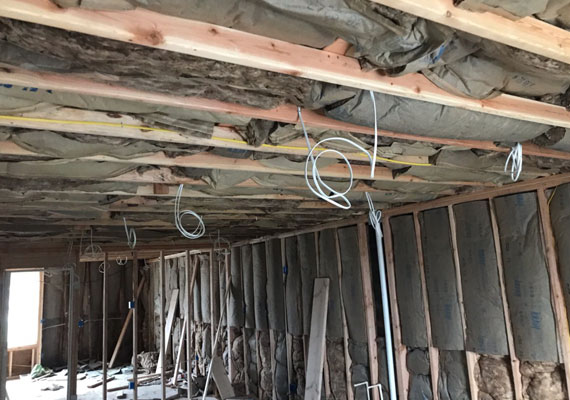 Upper Darby Renovation