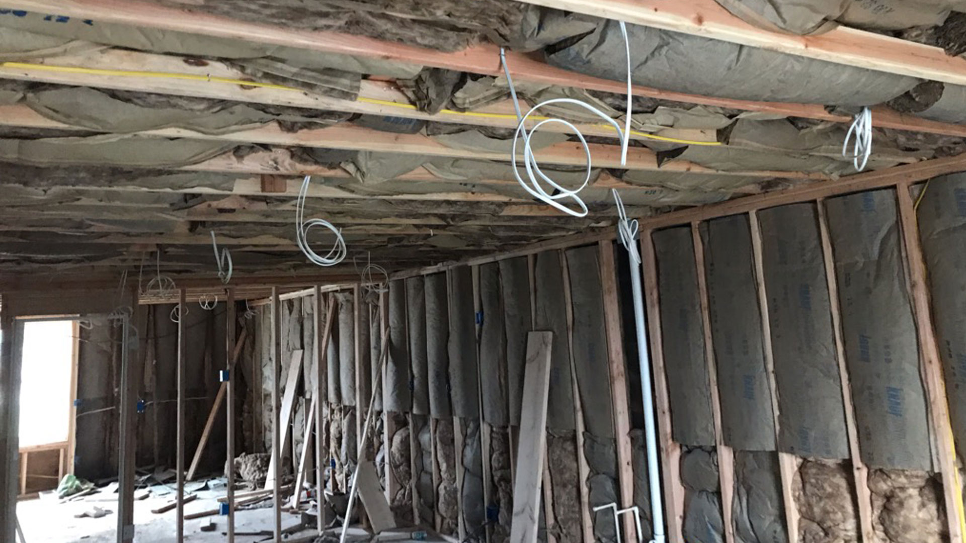 Upper Darby Renovation